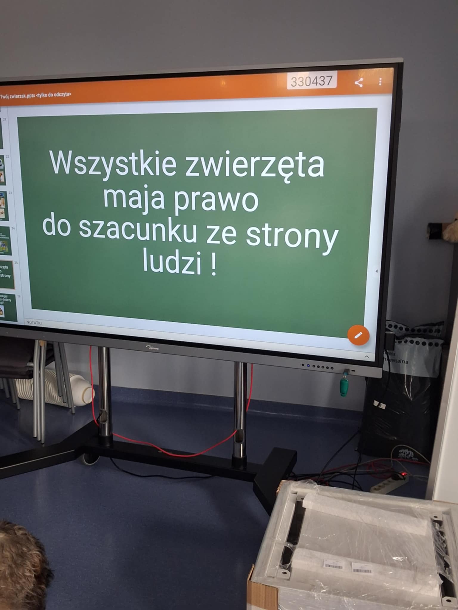 Z wizytą w Bydgoskim Schronisku dla Zwierząt