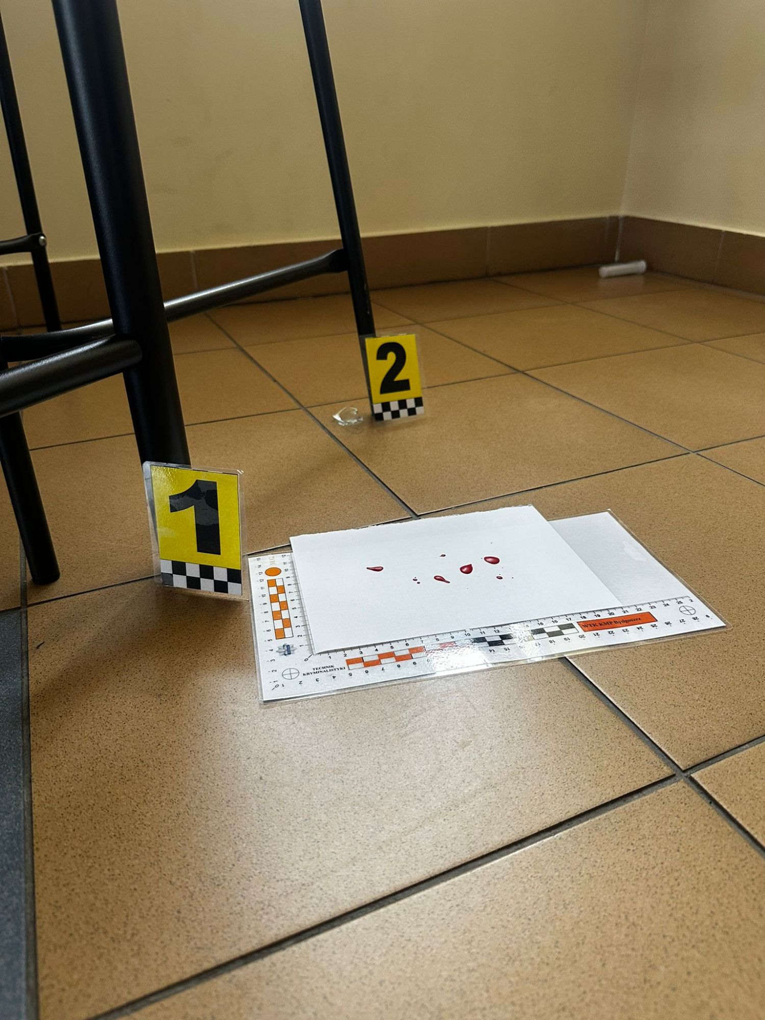 Kryminalne zagadki w XII LO