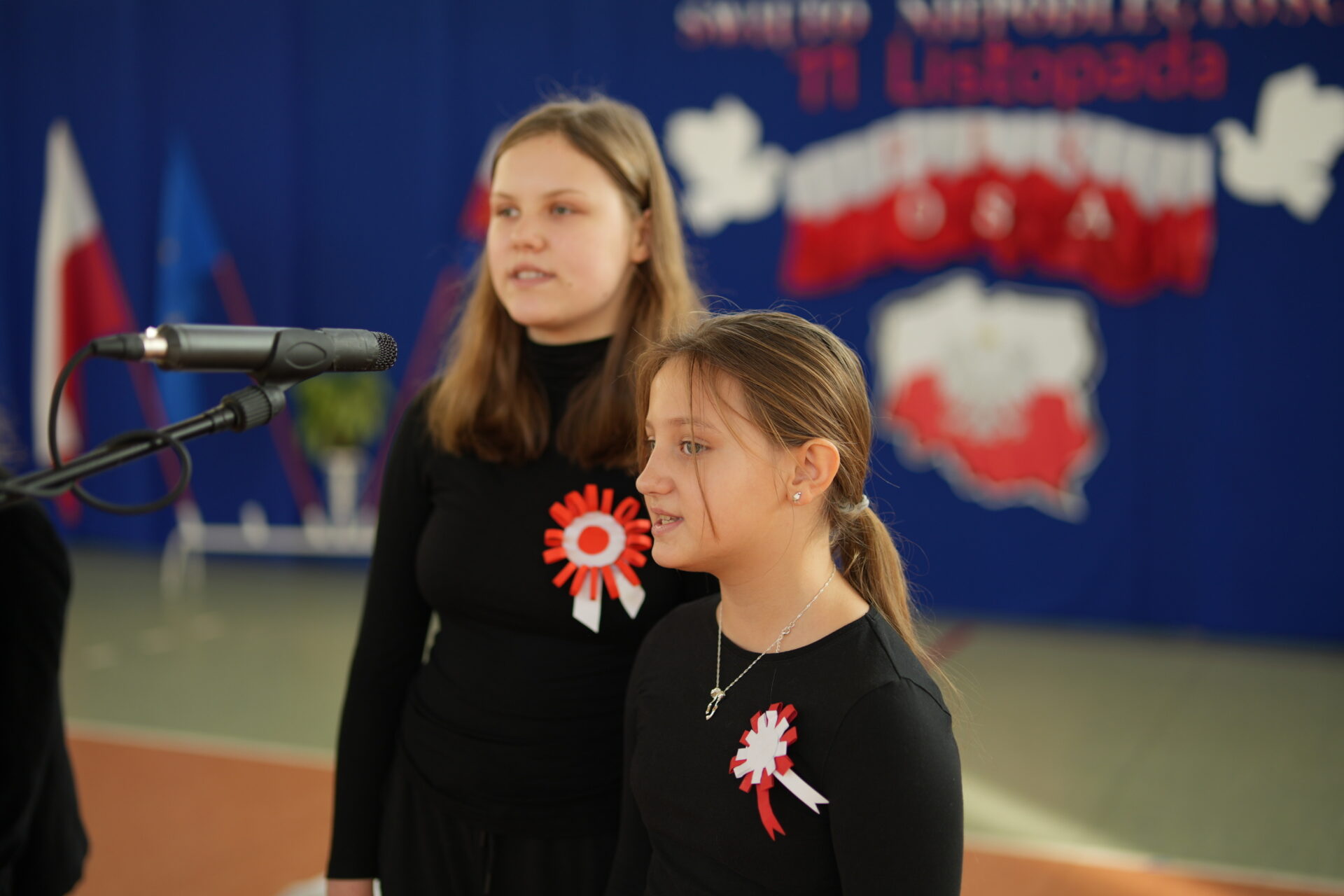 Święto Niepodległości w naszej szkole